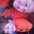 Lisa Felton Hodge's profile image