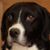 Paddy Mccarney's profile image
