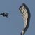 Chris Goodlet's profile image