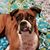 Cheryl Warzecha Cegielski's profile image