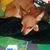 Mark Allen Byrns Jr.'s profile image