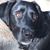 Alicia Branch Durrence's profile image