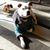 Lisa Andrews Lyston's profile image