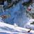 Rose Marie Zanghi's profile image