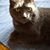 Cindy Presa's profile image