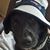 Bear Roeske's profile image