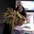 Leigh Henry- Delong's profile image