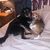Cindy Syvertson Rettke's profile image