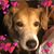 Tracy Bowen Banks's profile image