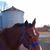 Cindy Ford's profile image