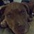 Rudy Reyes's profile image