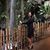 Lourdes Bustos's profile image