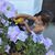 Emily Kreider's profile image