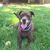 Kelli Wayne's profile image