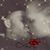 Danielle Nicole Carr's profile image