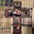 Mike N Barb Caton's profile image