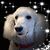 Dennis Van Arkel's profile image