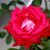 James Coffer's profile image