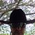 Tucker Scott's profile image