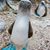 Beverly M Ann's profile image