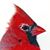 Nikki Knight's profile image