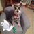 Frances Novey's profile image