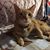 Liz Freret's profile image
