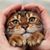 Sherry Thomas Kenworthy's profile image