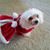 Cherie Mason Quellhorst's profile image