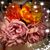 Shawna-Lynn Barroga's profile image