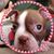 Roger Andrew Macklin's profile image