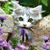 Jo Ann Vanderpool's profile image
