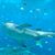 Marc C. Hess's profile image