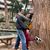 Kat Ascio Acierto's profile image