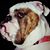 Eric Vandewater's profile image