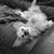 Ruth Parker Lackey's profile image