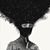 Andy Contrarian So's profile image