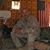 Richard Harris's profile image
