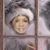 Kathy Lewis-Thomas's profile image