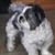Joyce Harris Brawner's profile image