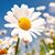 Mariana Atencio's profile image