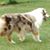 Sandra Benson's profile image
