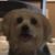 Kimberley Dilbeck's profile image