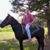 Brian Holtz's profile image