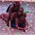 Abby Petrosky Rush's profile image