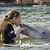 Lisa K Partlow's profile image