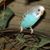 Natalie Krall's profile image