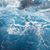 Michele Leimer's profile image