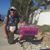 Steven Misrack's profile image