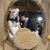 Pegah Pourasef's profile image